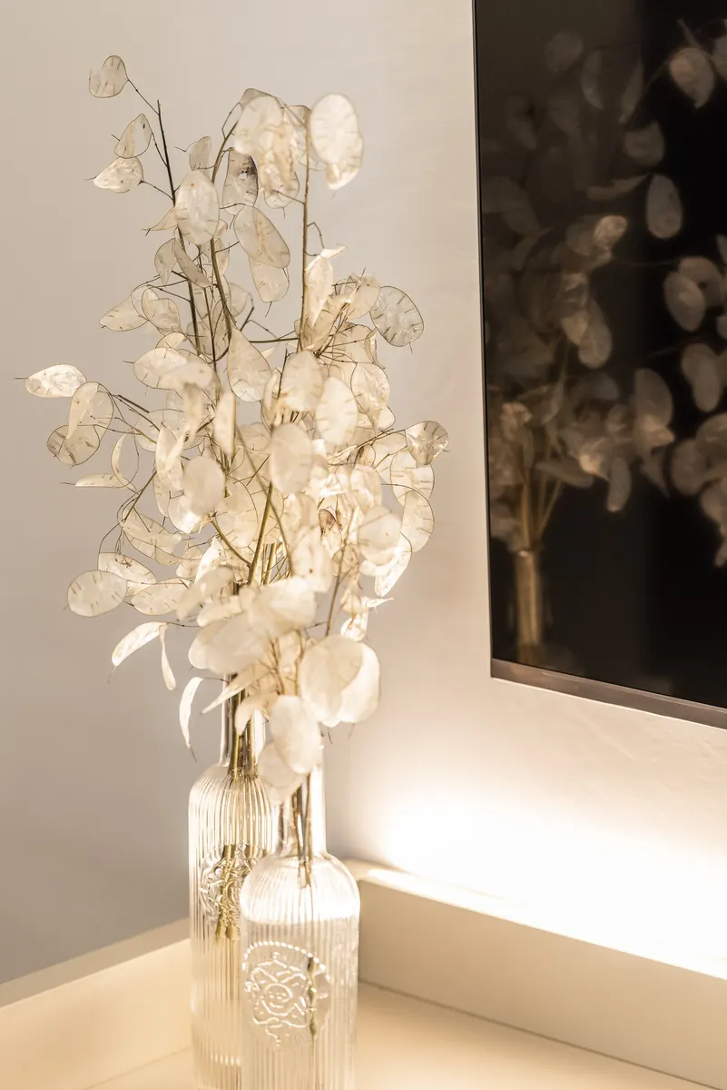 Fiori secchi di lunaria in un vaso di vetro, davanti allo specchio illuminato